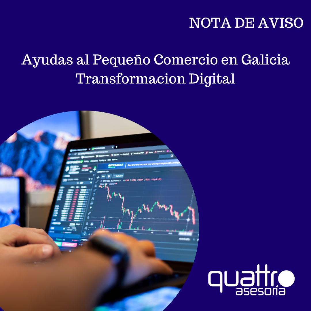 Ayudas a la transformación digital y modernización del sector comercial y artesanal en la CCAA Galicia -CO300C